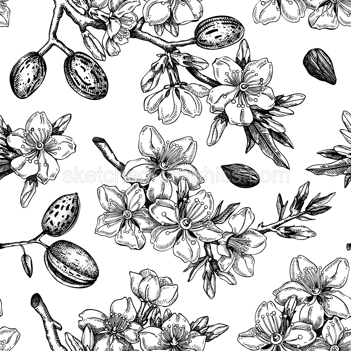 Almond blossom sketched background. Floral seamless pattern. Flowering branches with nuts, flowers, and leaves design. Botanical vector illustration of spring nut tree.  Illustration